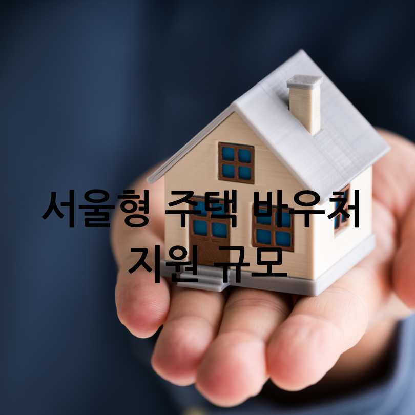 서울형 주택바우처