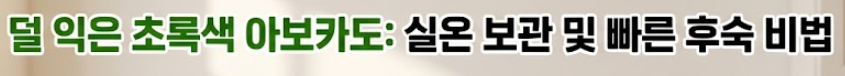 아보카도 보관법