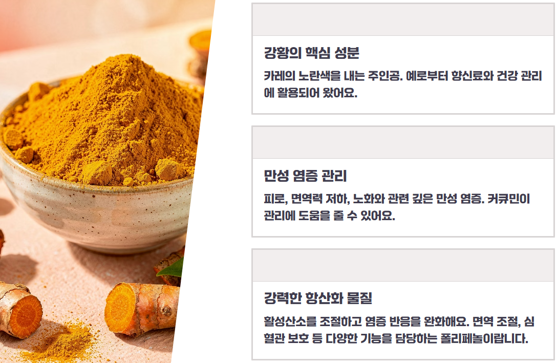 커큐민 효능, 부작용