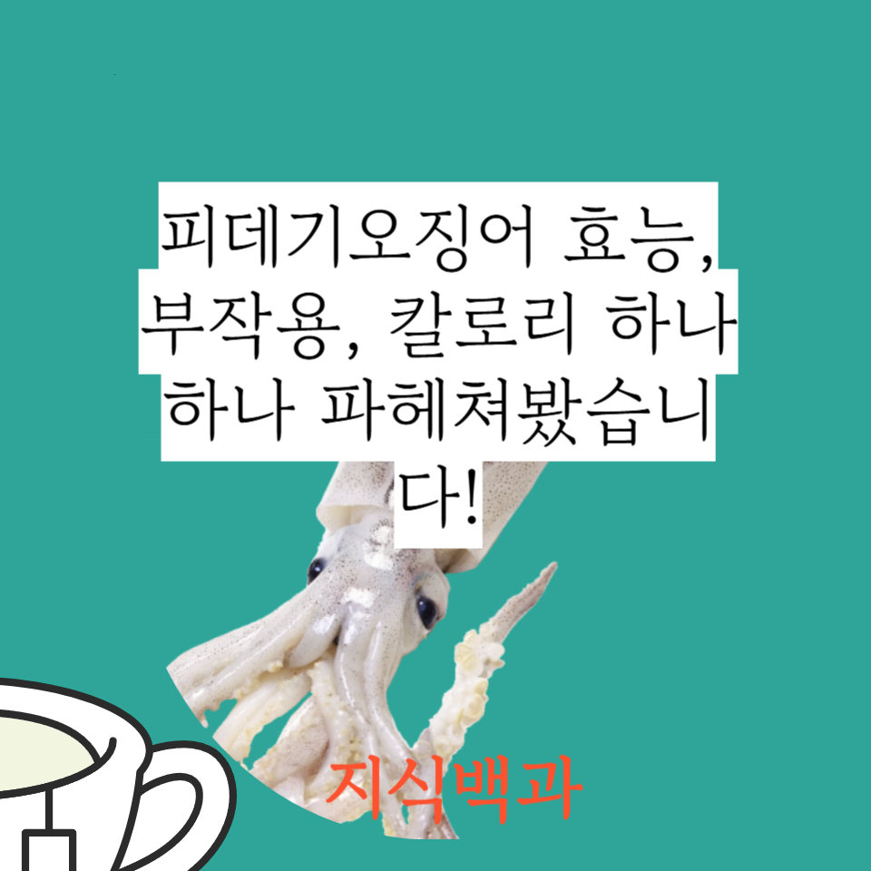 피데기오징어 효능, 부작용, 칼로리 하나하나 파헤쳐봤습니다!