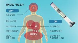 비만치료제 일라이릴리 젭바운드