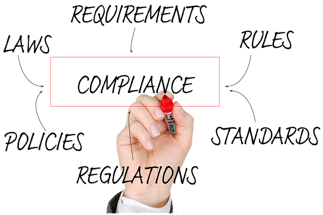 청년층을 위한 현실적인 정책금 (정부지원금, 취업지원, 신청방법)