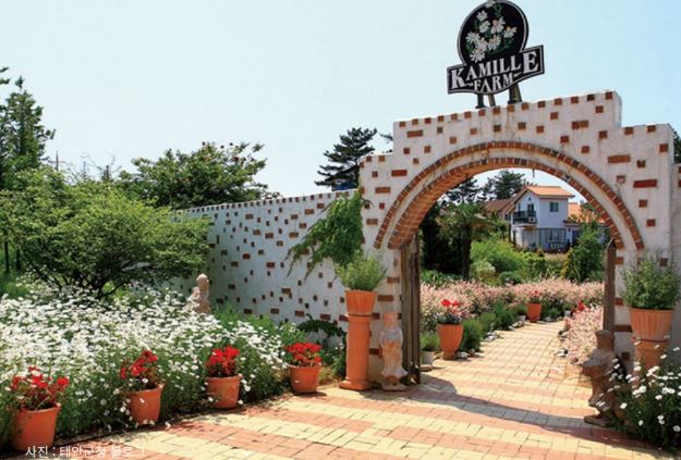 팜카밀레농원