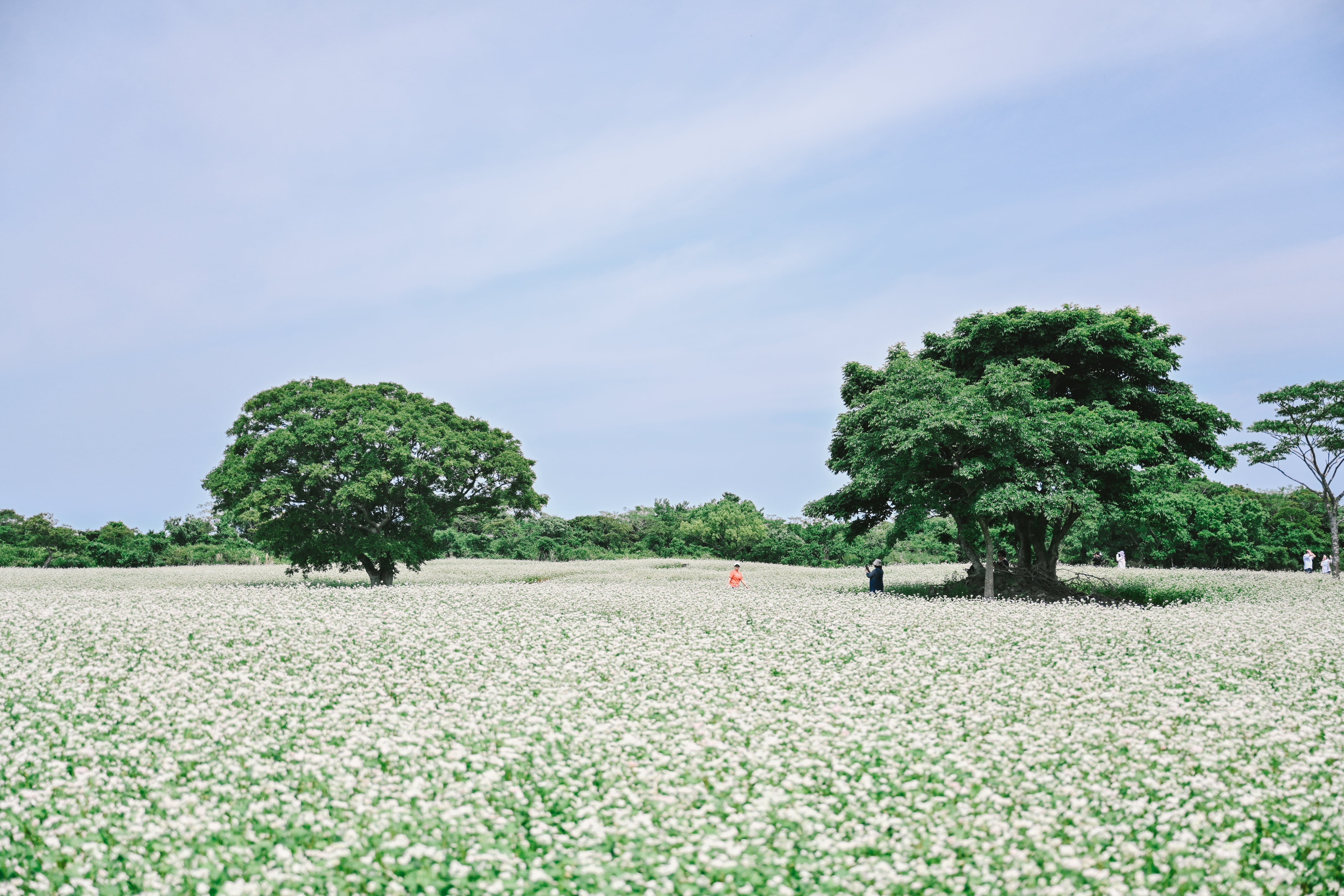 엄지사진관 제주 포토에세이