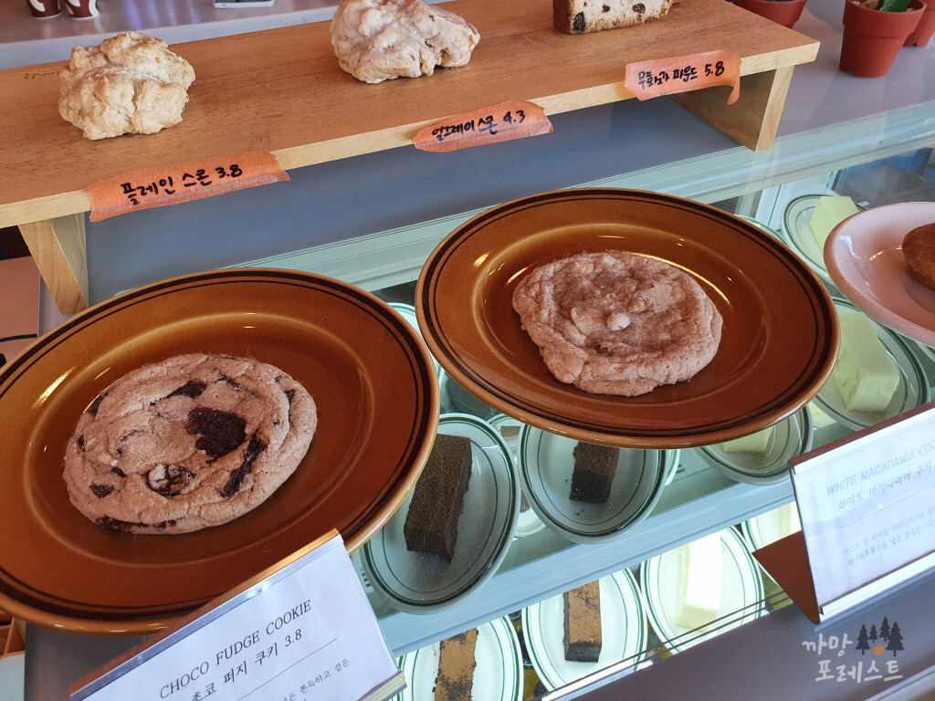 커피 인터뷰 파도리 쿠키