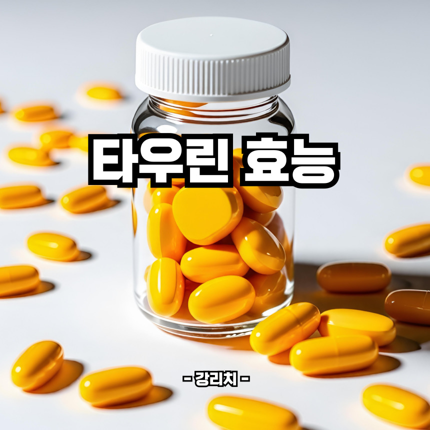 타우린 효능