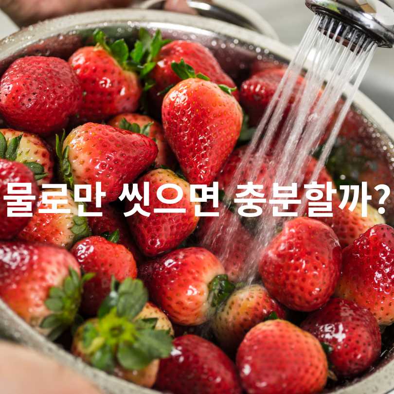 과일세척방법