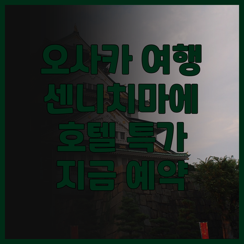 오사카 여행 준비 완료? 비지니스 인