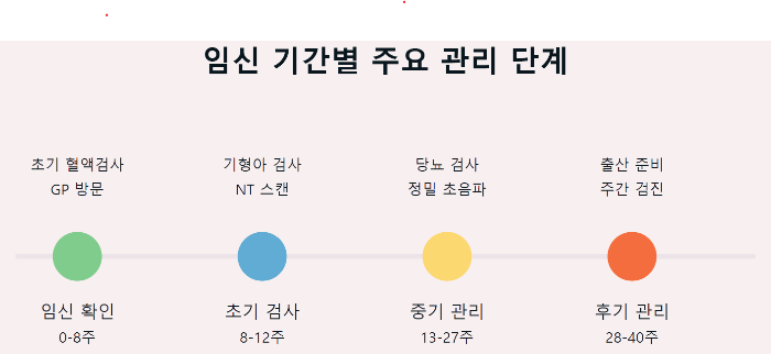 임신-기간별-주요-관리-단계표