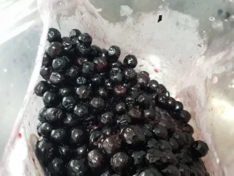 아로니아 먹는 가장 좋은 방법과 생 냉동 분말 활용 팁_17