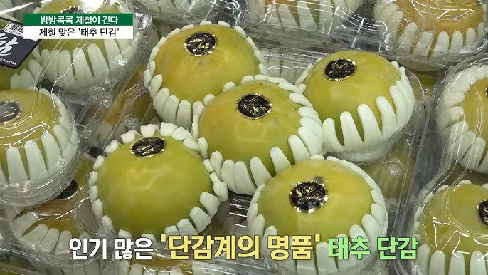 태추단감 이란 아직도 그냥 단감이라고 생각하세요 feat 일반 단감과 완벽 비교 분석으로_5
