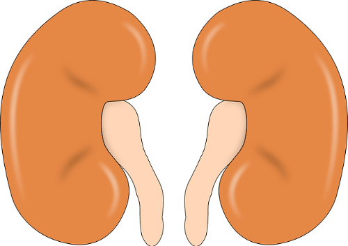 오른쪽 옆구리 통증 원인 대처법