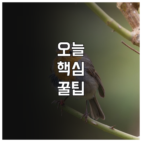 2025 청주 시간제보육 신청 고민 ..