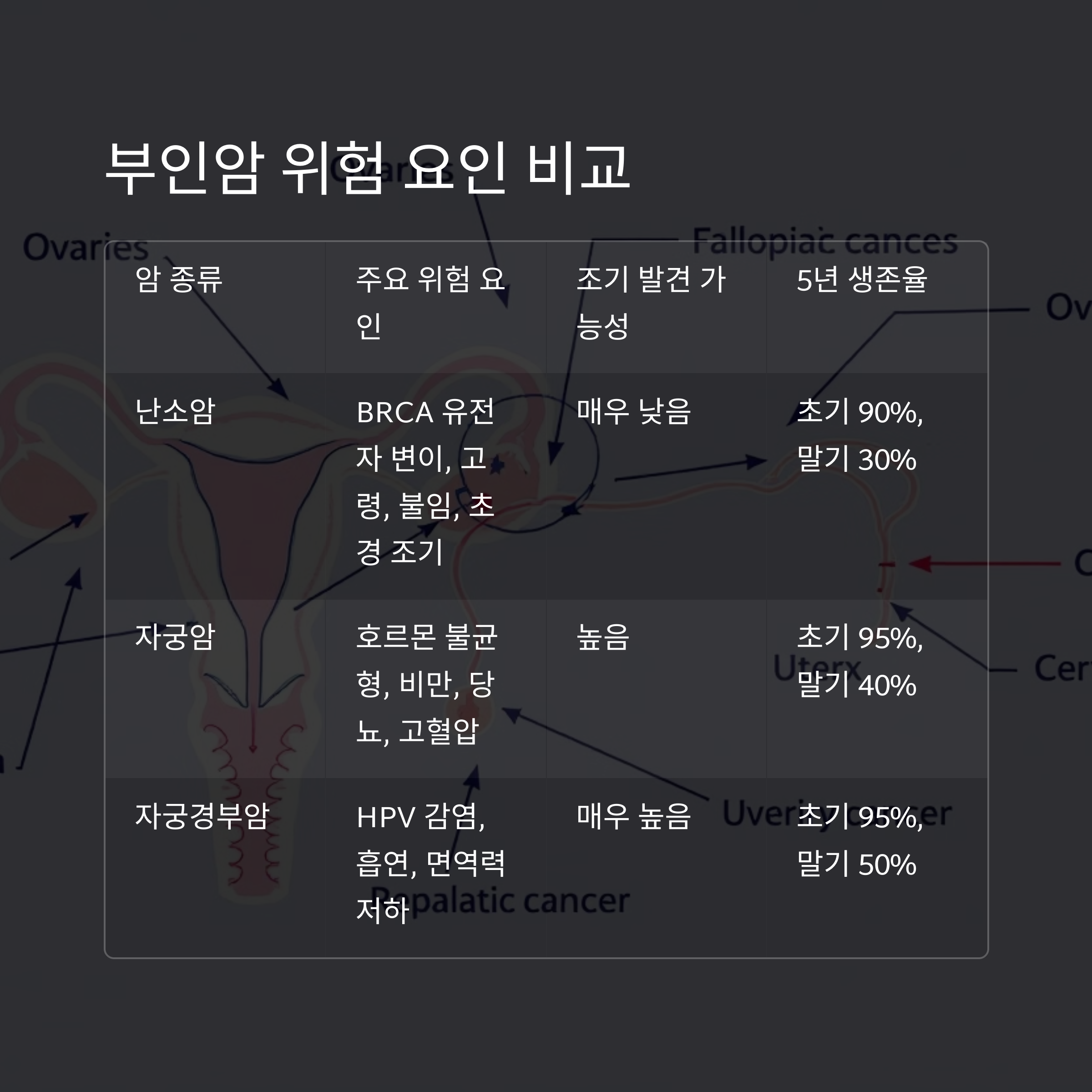 난소암과 자궁암의 치료법 차이