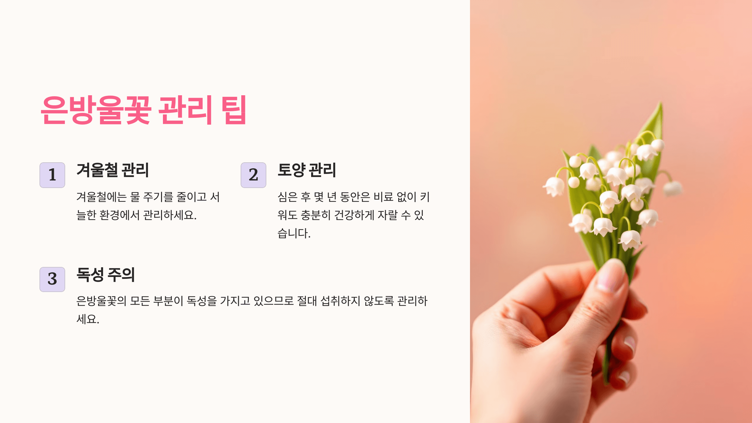 은방울꽃 사진입니다.