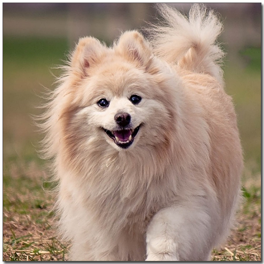 ์๊ณ ์๋ ํฌ๋ฉ๋ผ๋์