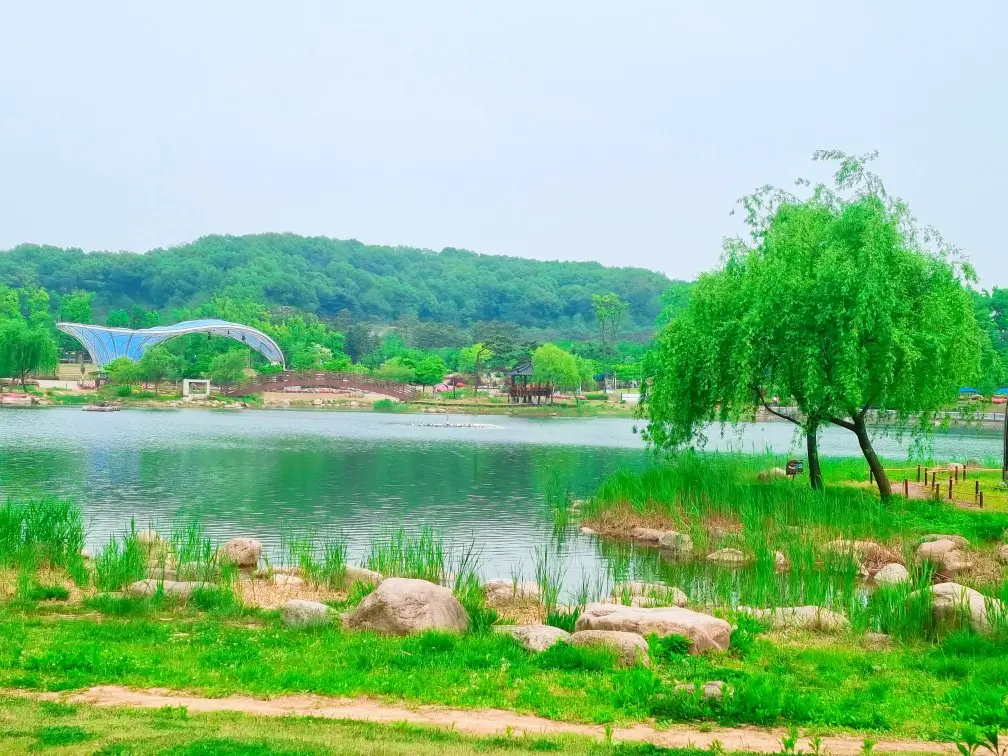 아이와 가기 좋은 곳 - 5월의 장미가 기다려지는 도심 속 김포호수공원