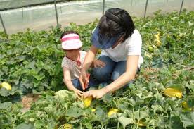 제 18회 여주금사참외축제 기본일정과 프로그램 정리 우연이 지원이 요요미 한강