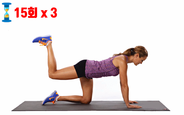 허벅지 살빼는 운동,동키킥,팁줌