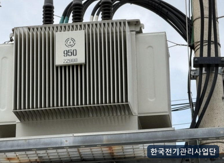 사진 3