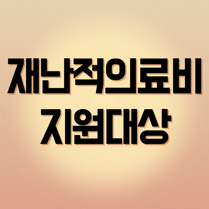 재난적의료비
