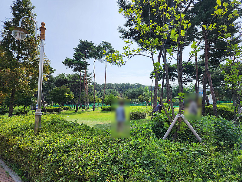 충청남도 천안시 풍세파크골프장 소개