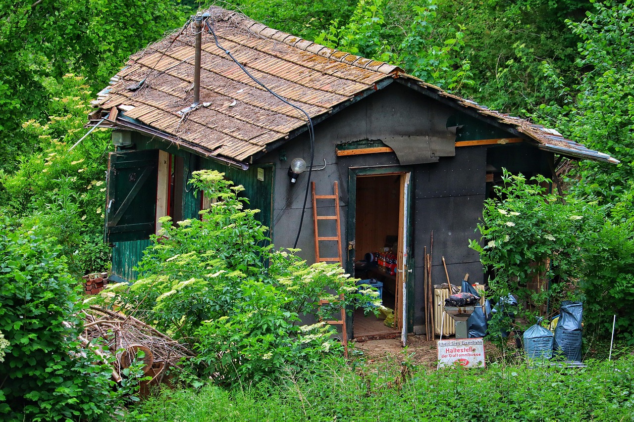 산속에서 평화롭게 지내는 자연 분위기 관련사진