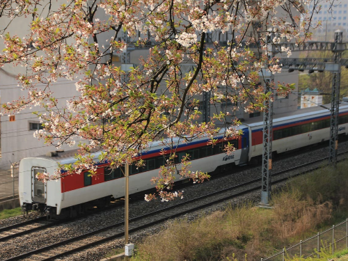 기차여행 숙박 페스타 할인권 에약