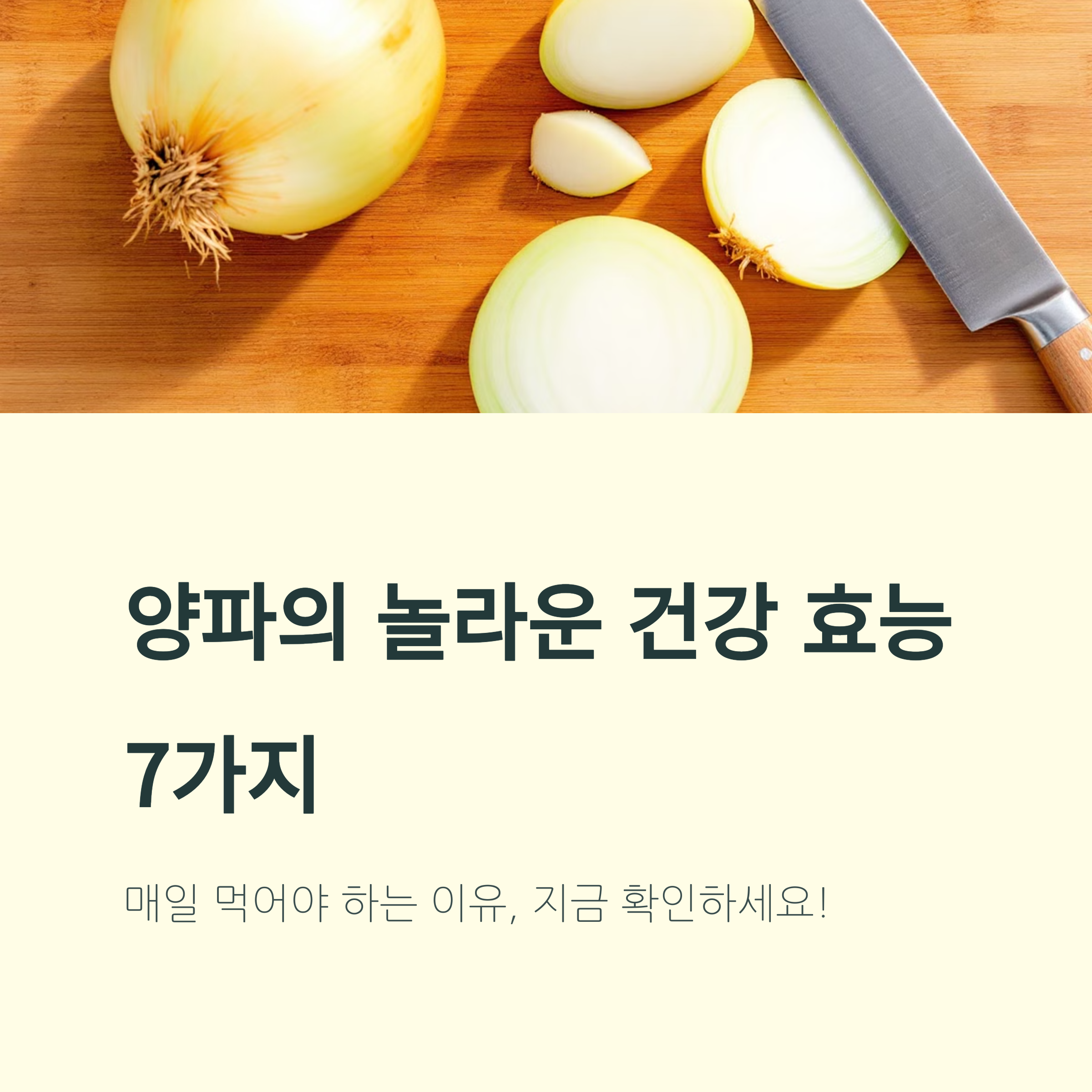 양파 효능 완전 정리 건강에 좋은 7가지 이유