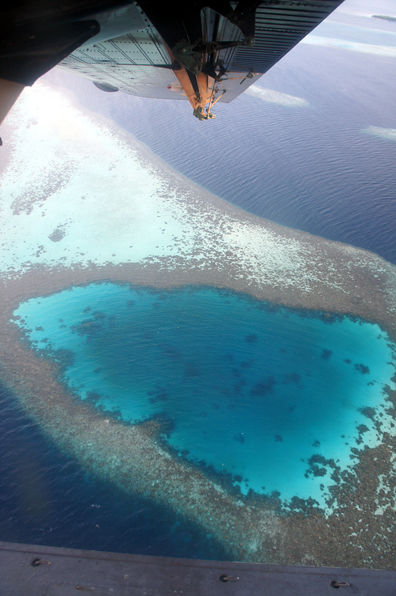 리조트를 떠나면서 수상비행기 아래로 보이는 섬모습