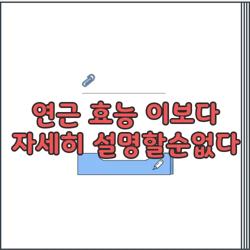연근 효능 이보다 자세히 설명할순없다