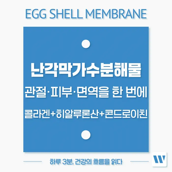 난각막가수분해물 효능