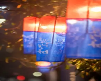 횡성 한우축제_8