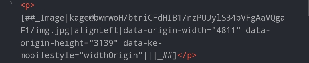 html모드에서의-이미지
