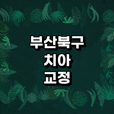 부산 북구 교정 치과