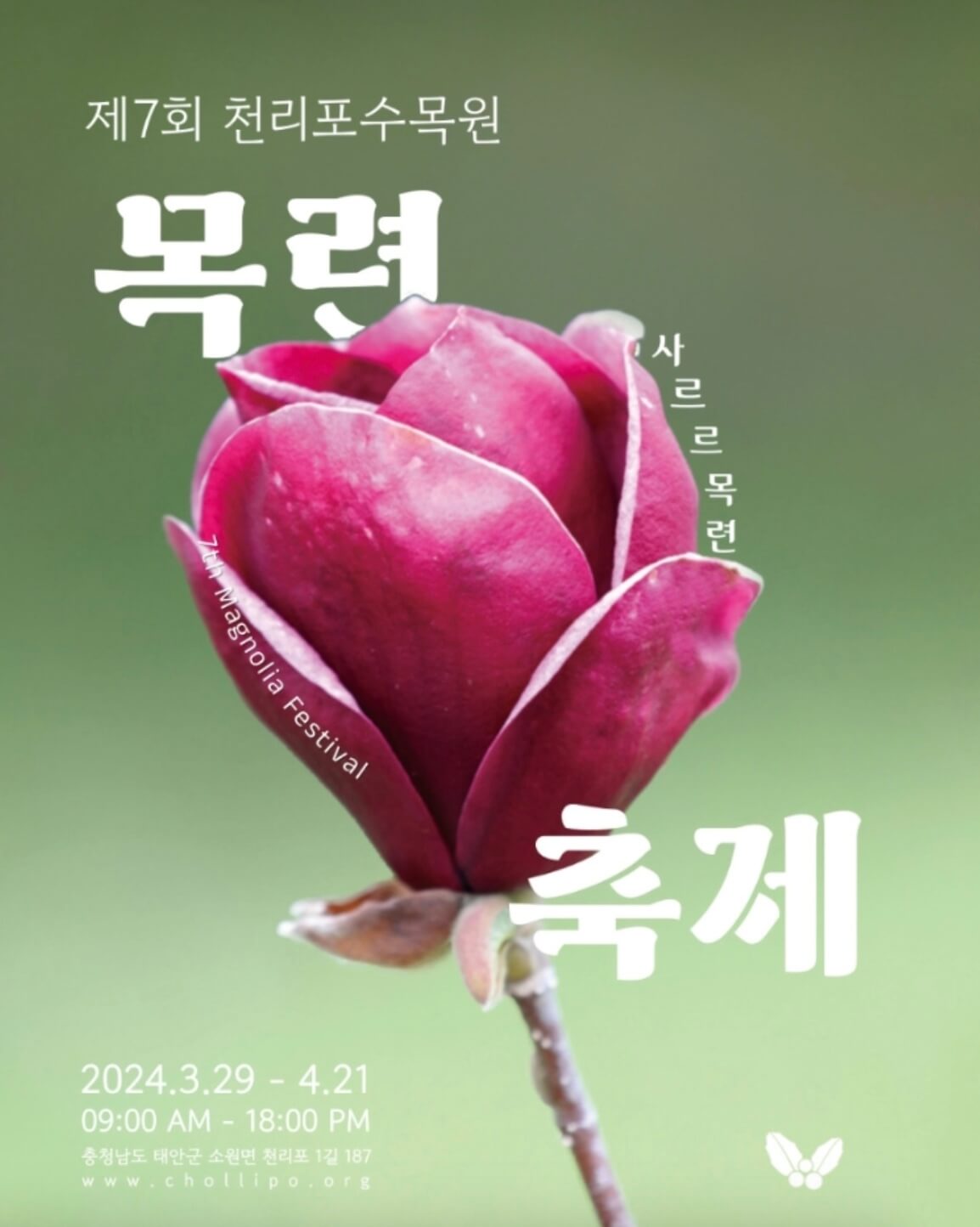 충남-태안-천리포-수목원-목련-축제-포스터