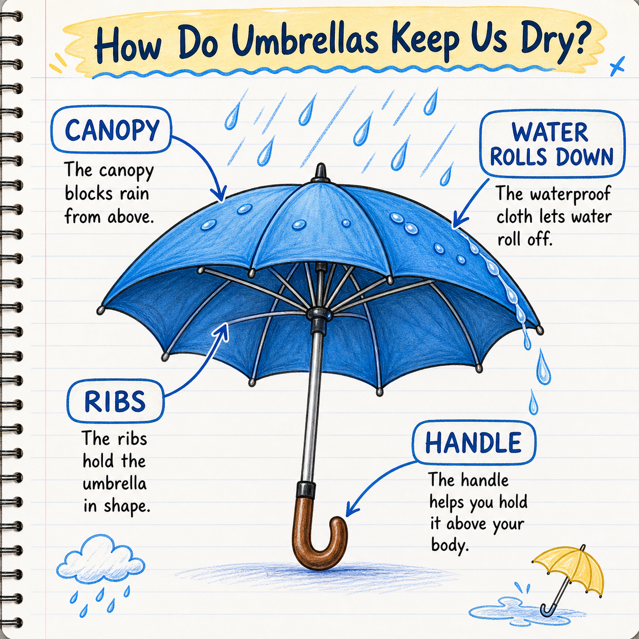Name the canopy, ribs and handle. How much water a cover blocks depends on its material and condition.