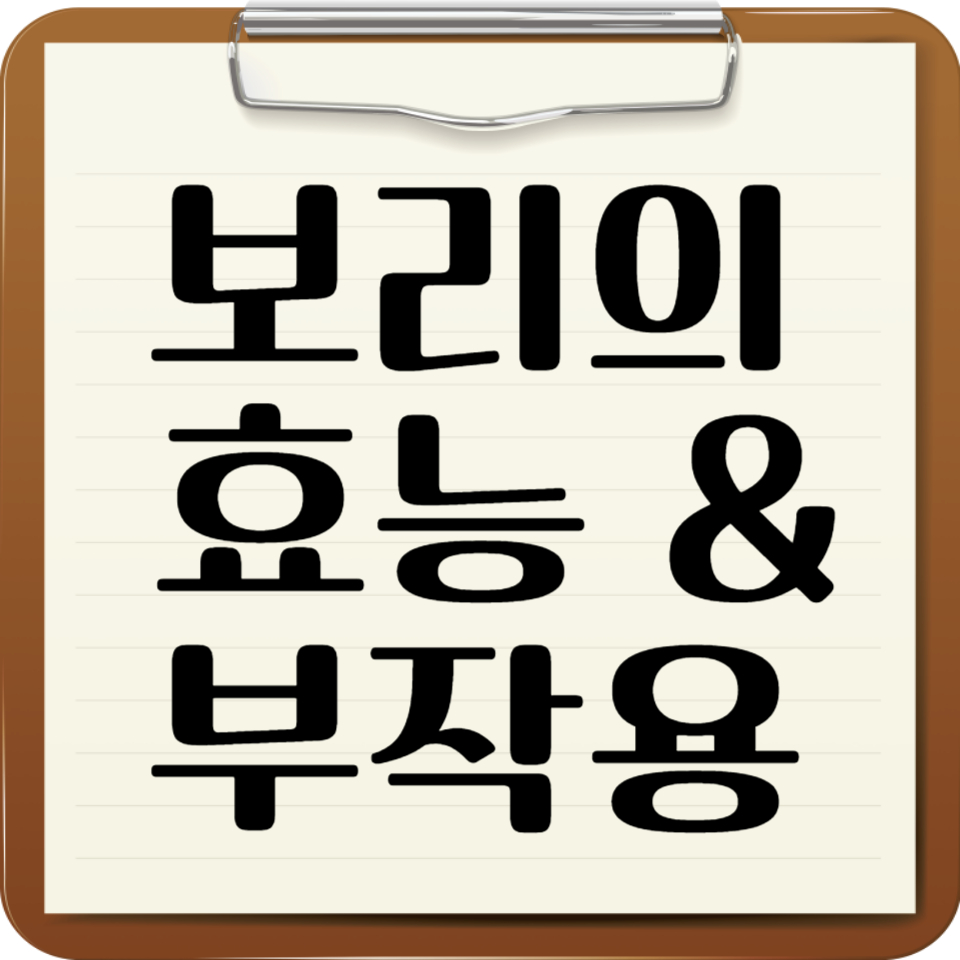 보리의 효능 및 부작용 썸네일
