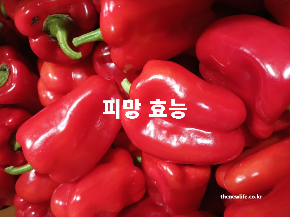 피망 효능의 핵심을 전체적으로 보여주는 과학적인 근거를 바탕으로 한 피망 실사진