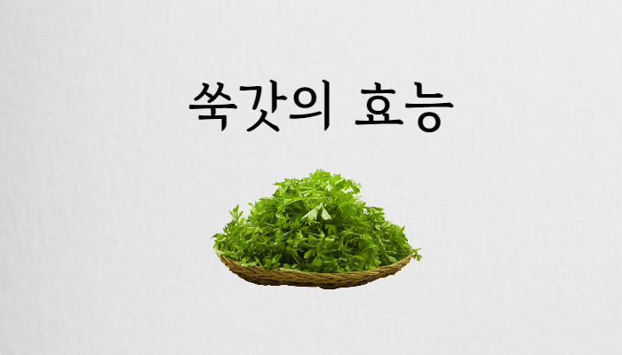 쑥갓의효능 썸네일
