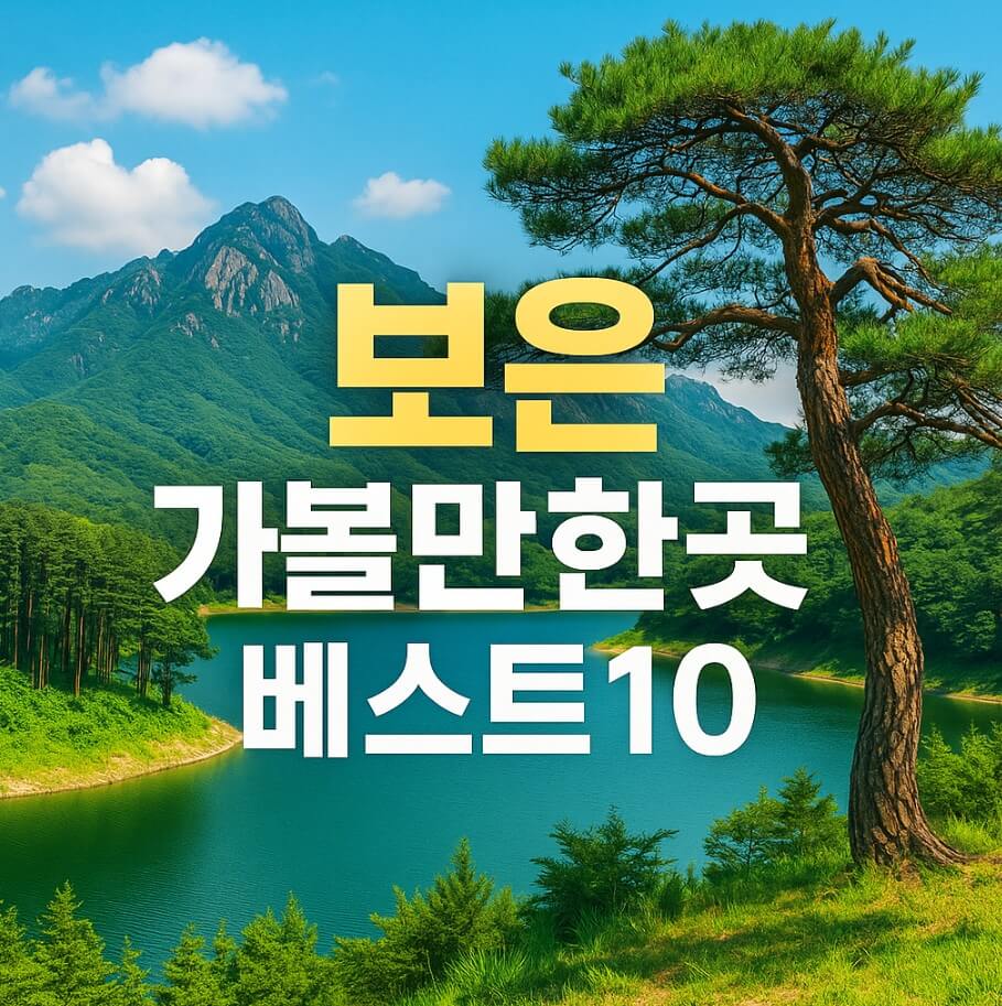 보은 가볼만한곳 베스트10