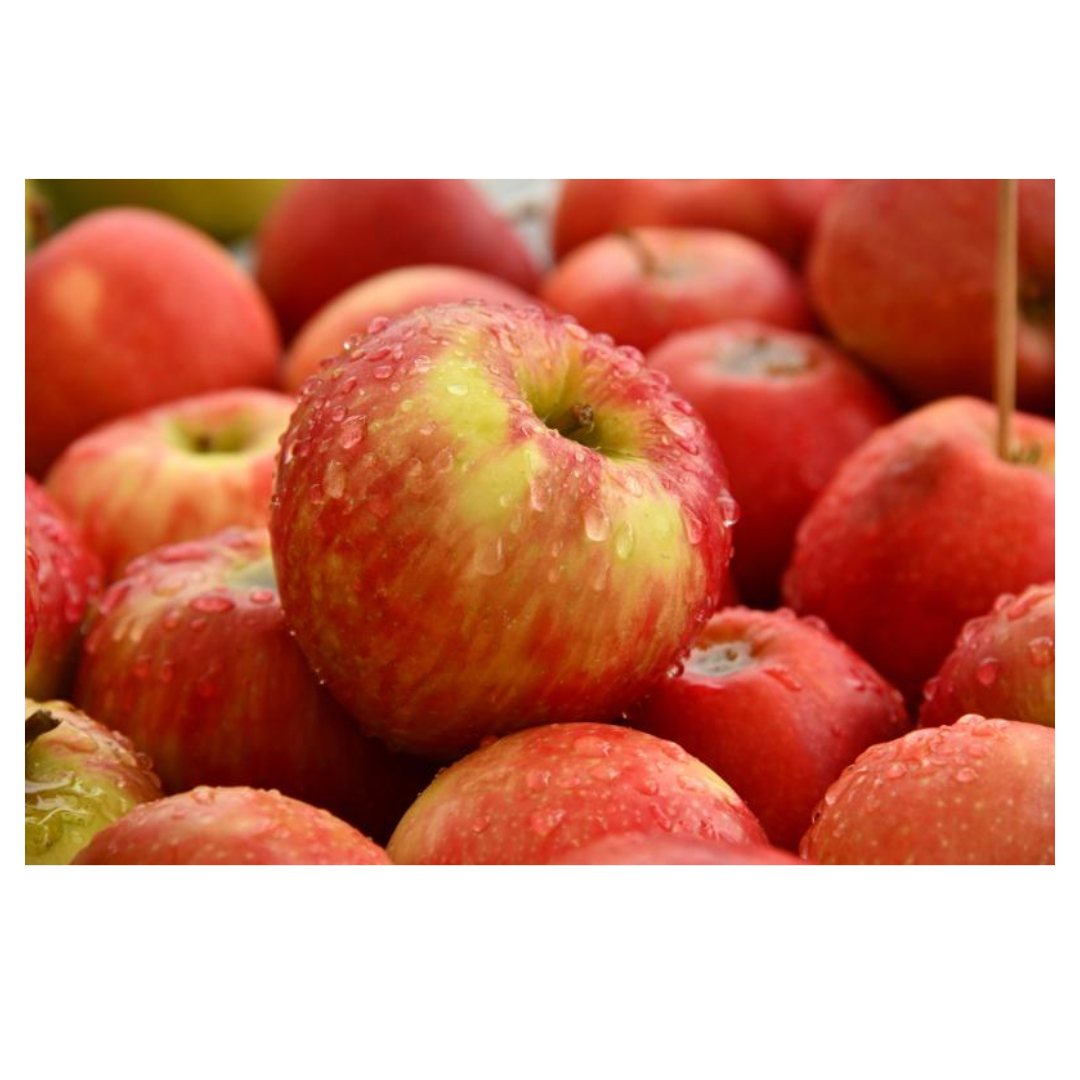 변비에 좋은 음식과 관련된 사진입니다.