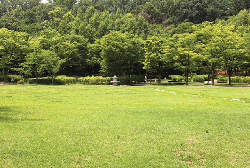 서울 중랑캠핑숲, 중랑가족캠핑장 소개