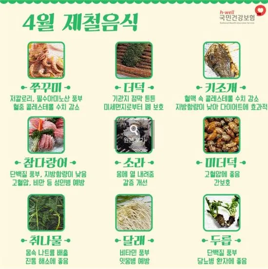 4월 제철음식 제철 생선 과일 채소 모음_4
