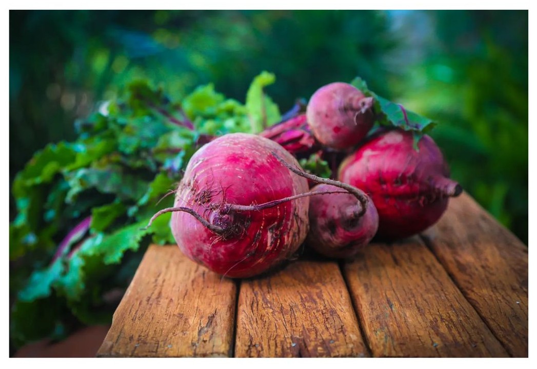 비트 효능의 이해를 위한 비트 이미지