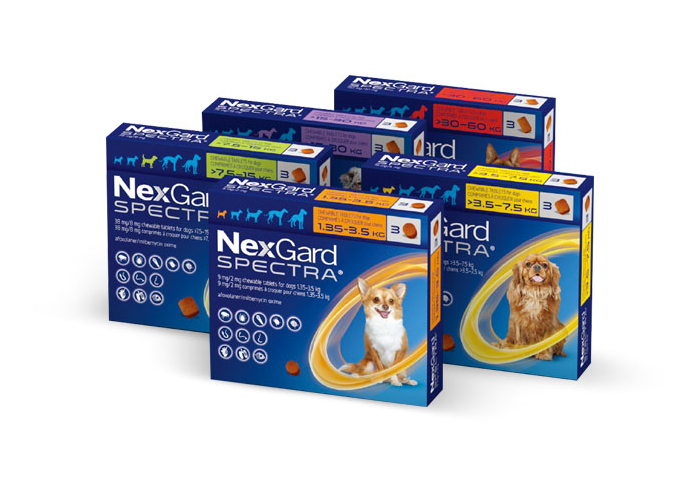 넥스가드 스펙트라