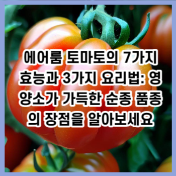 에어룸 토마토의 7가지 효능과 3가지 요리법: 영양소가 가득한 순종 품종의 장점을 알아보세요