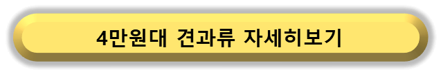 ▶ 견과류 추석선물세트 자세히보기