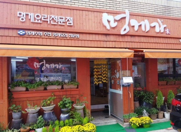 백반기행-통영-멍게비빔밥-멍게가-멍게요리전문점