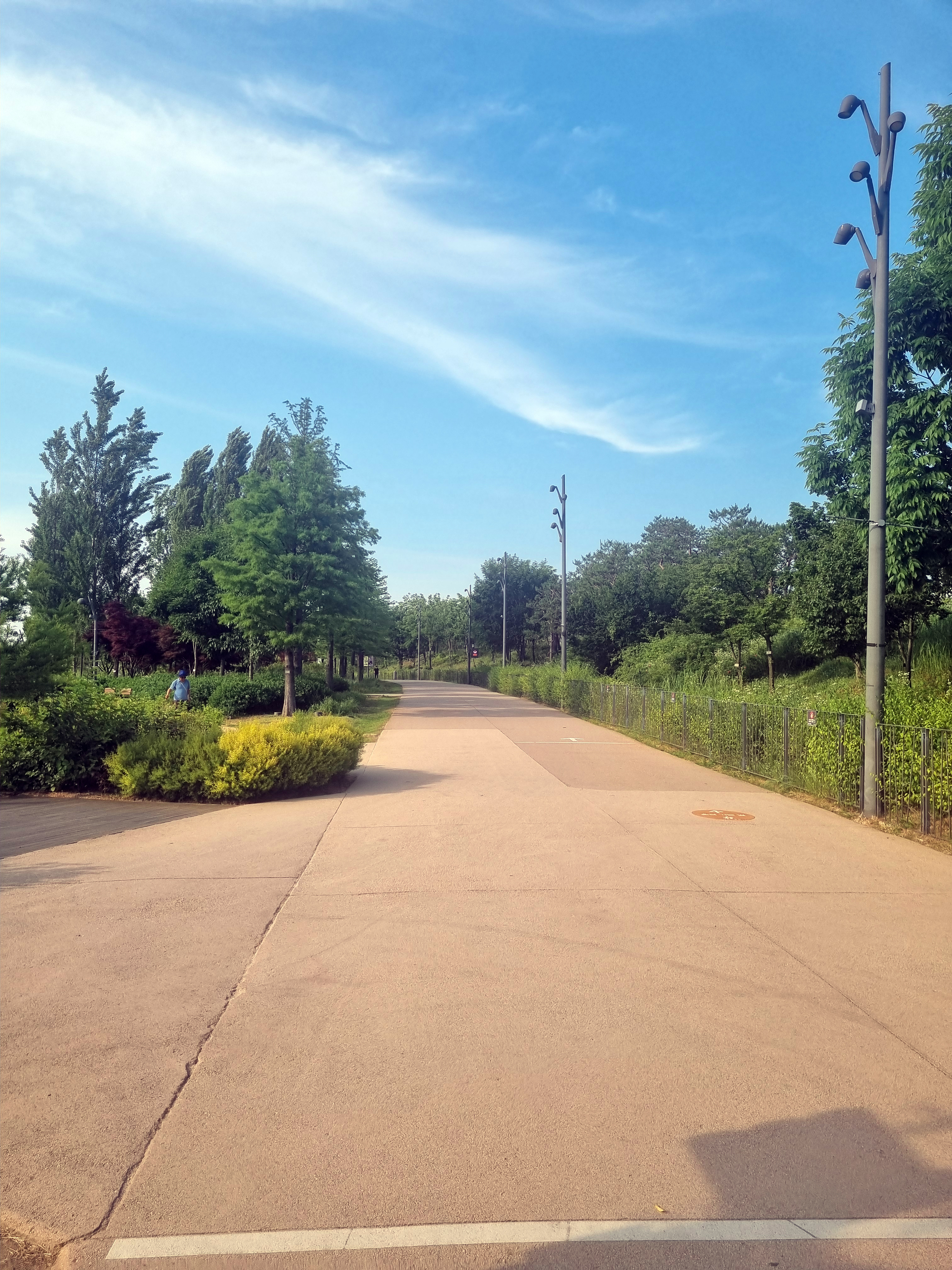 호수원쪽 공원 산책로